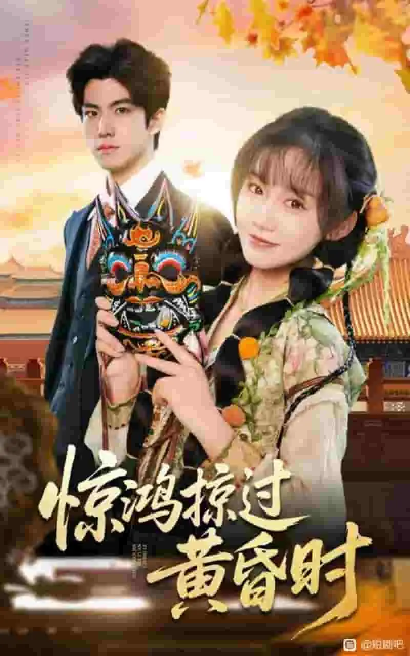 《惊鸿掠过黄昏时》全集资源